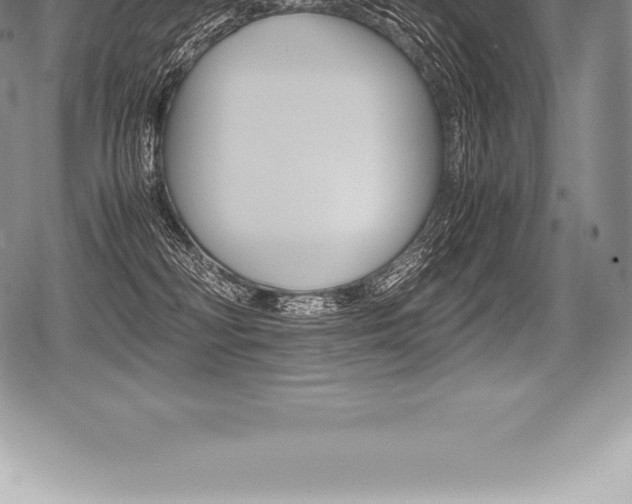 X0000080800230200612151040
