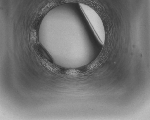 X0000080800231200612151040