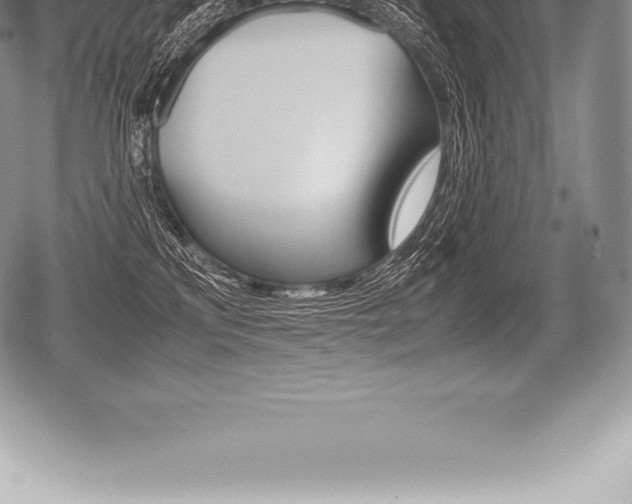X0000080800233200612151040