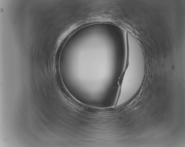 X0000080800248200612151040