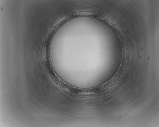 X0000080800255200612151040