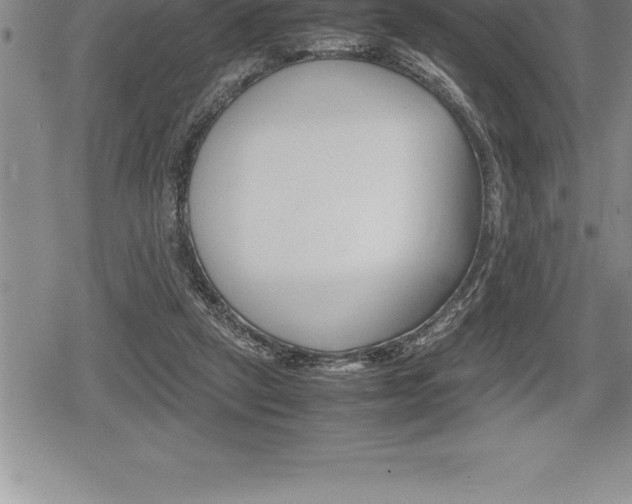 X0000080800257200612151040