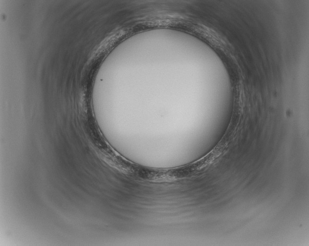 X0000080800258200612151040