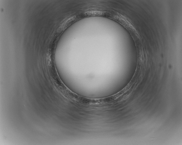 X0000080800259200612151040