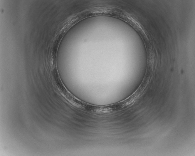 X0000080800261200612151040