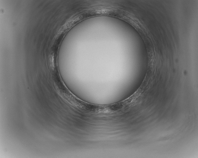X0000080800262200612151040