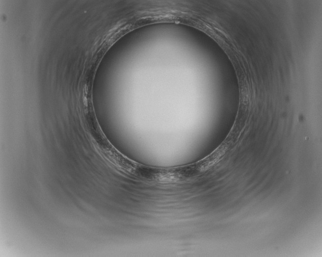 X0000080800264200612151040