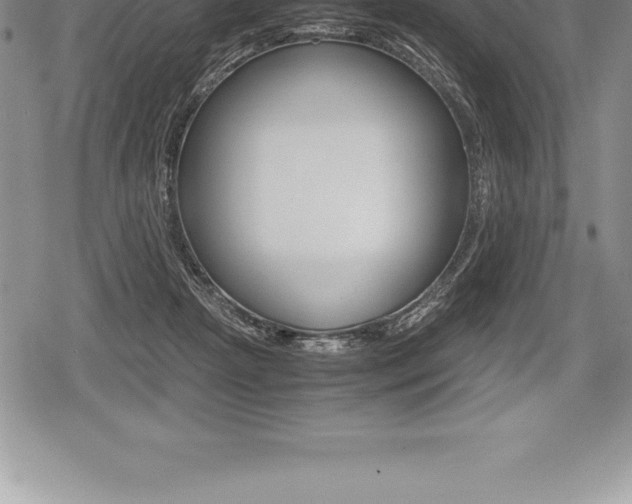 X0000080800265200612151040