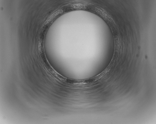 X0000080800266200612151040
