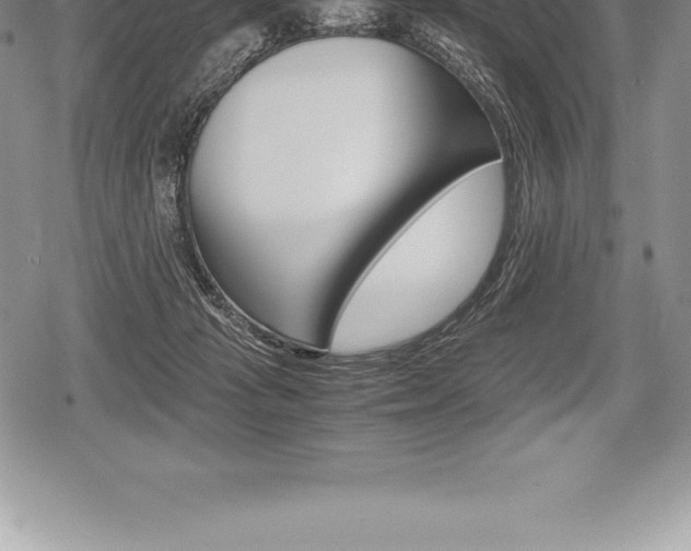 X0000080800269200612151040
