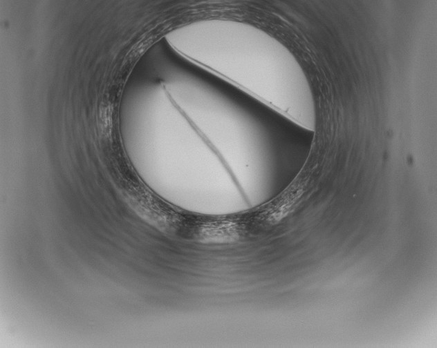 X0000080800271200612151040