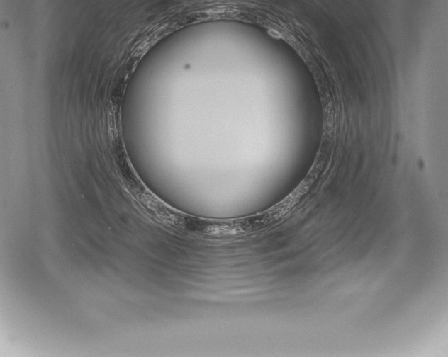 X0000080800272200612151040