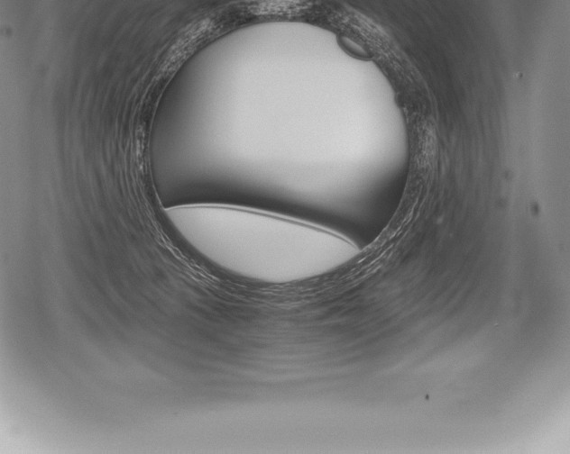 X0000080800273200612151040