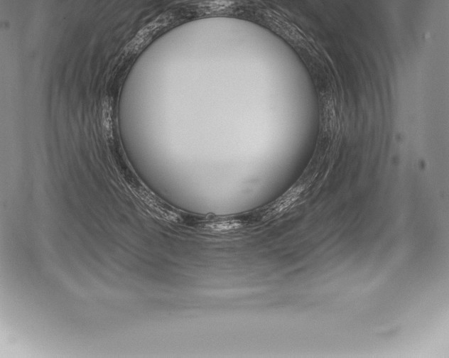 X0000080800274200612151040