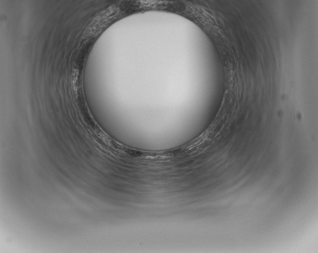 X0000080800275200612151040