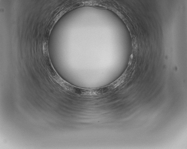 X0000080800276200612151040