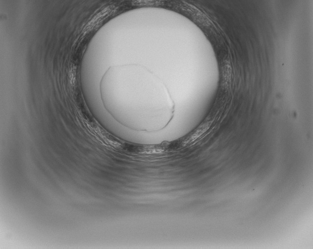 X0000080800278200612151040