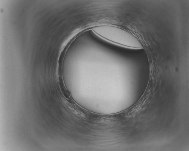 X0000080800292200612151039