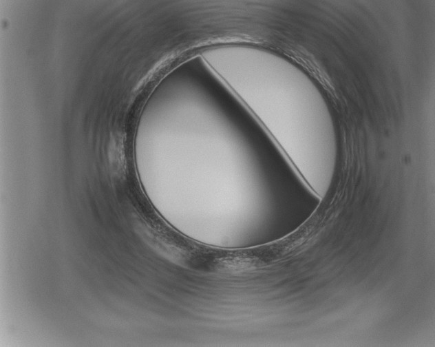 X0000080800300200612151039