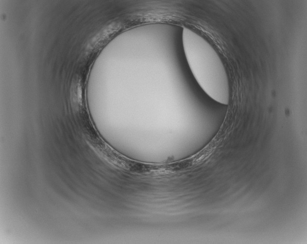 X0000080800310200612151039