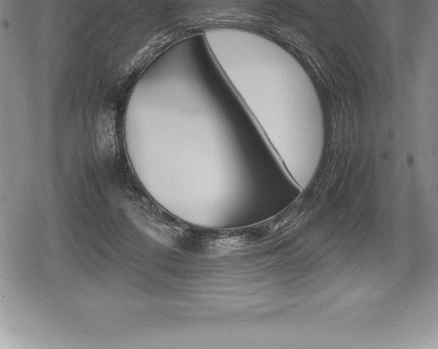 X0000080800312200612151039