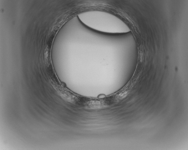 X0000080800314200612151039