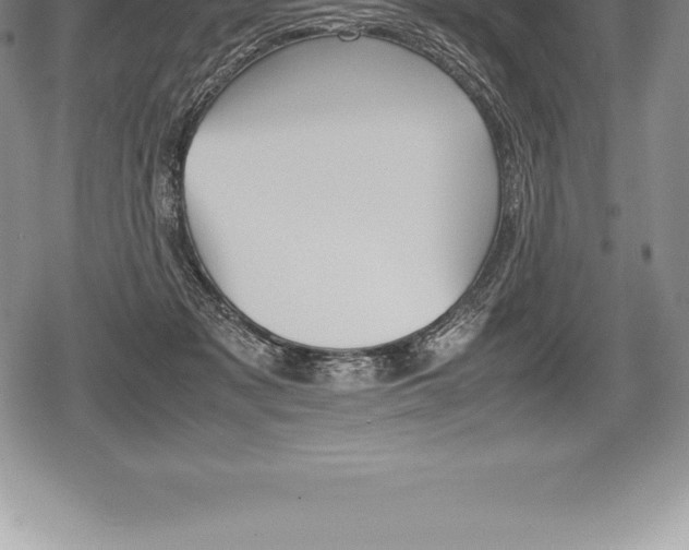 X0000080800317200612151039