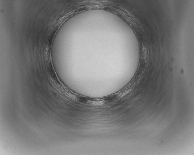 X0000080800318200612151039