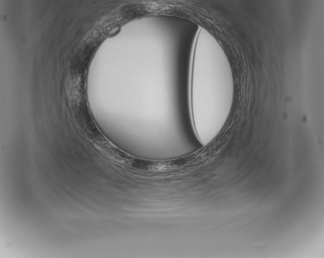 X0000080800319200612151039