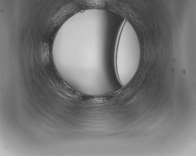 X0000080800320200612151039