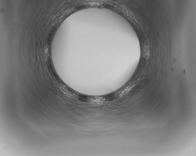 X0000080800321200612151039