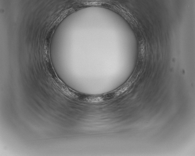 X0000080800322200612151039