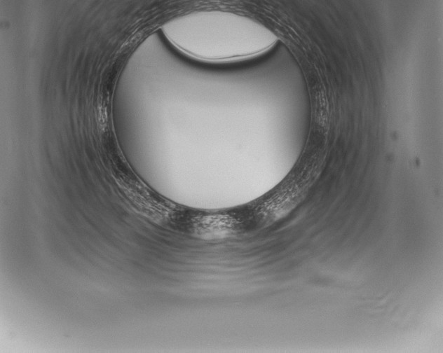 X0000080800324200612151039