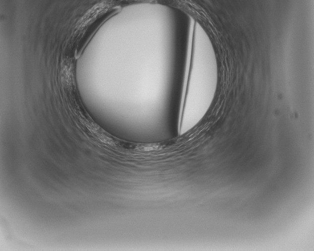 X0000080800329200612151039