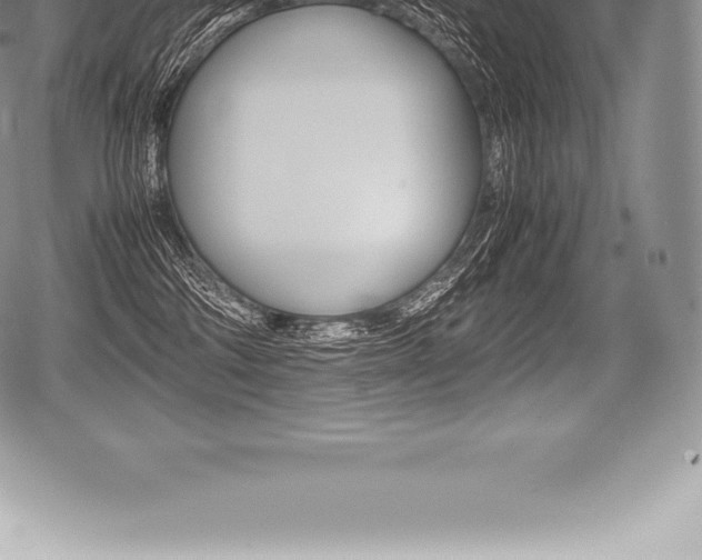 X0000080800330200612151039