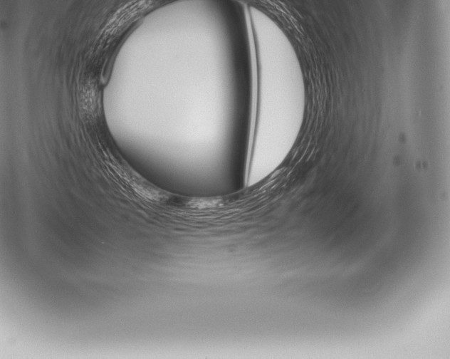 X0000080800333200612151039