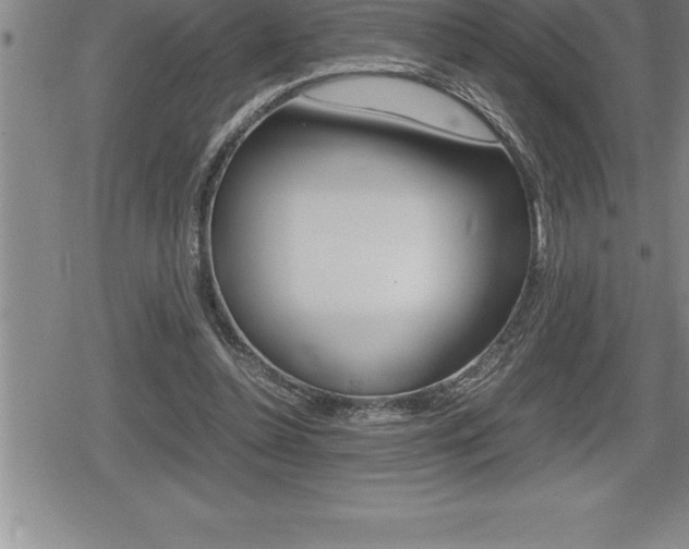 X0000080800348200612151038