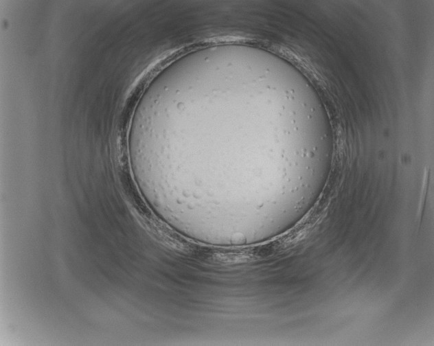 X0000080800351200612151038