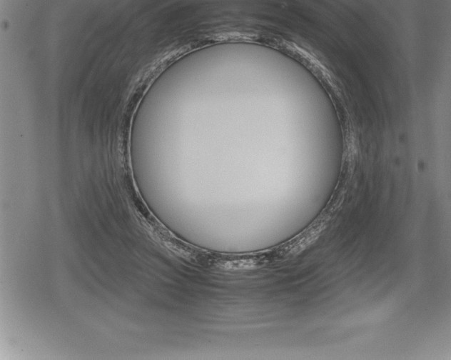 X0000080800353200612151038
