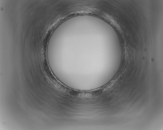 X0000080800354200612151038