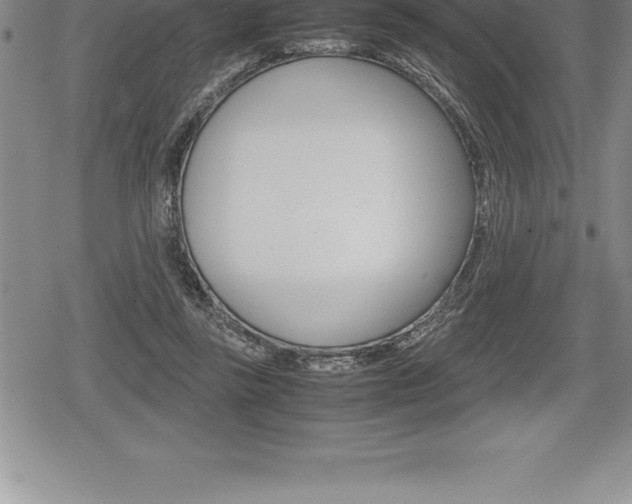 X0000080800355200612151038