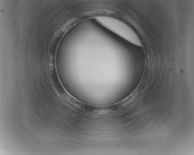 X0000080800356200612151038