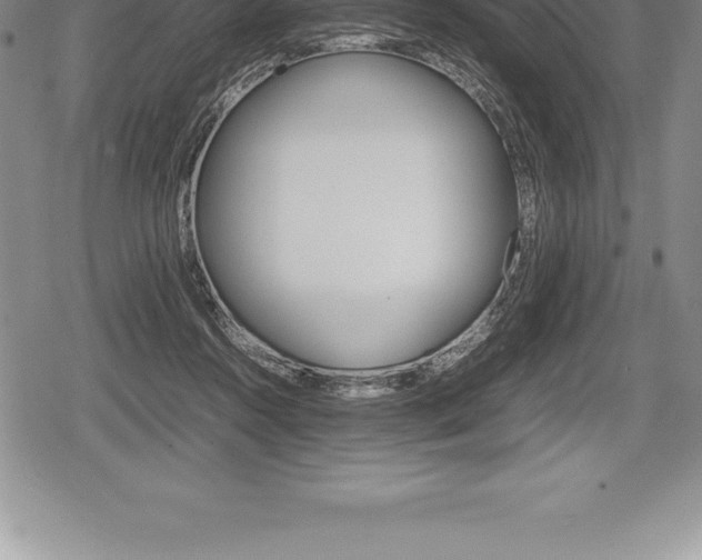X0000080800360200612151038