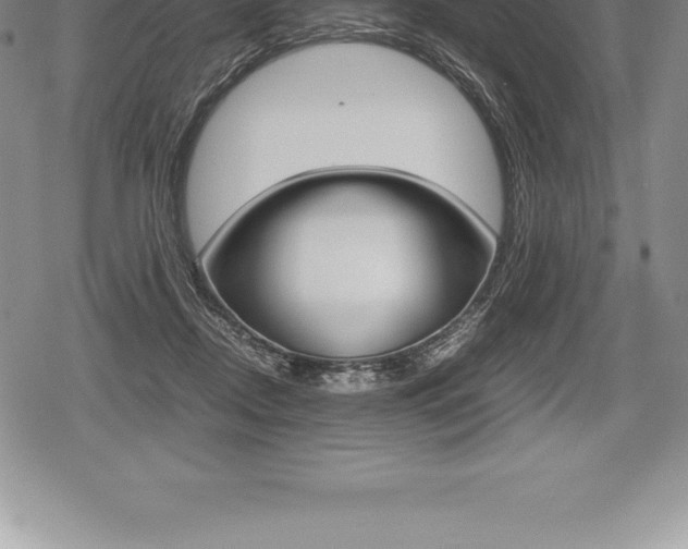 X0000080800362200612151038