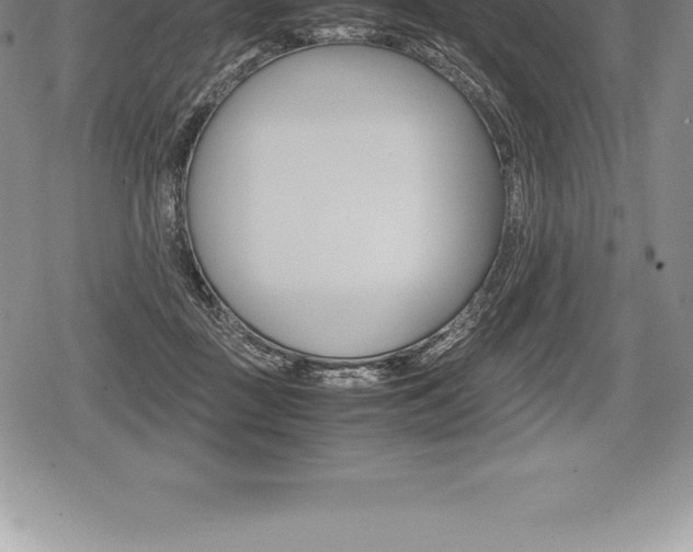 X0000080800363200612151038