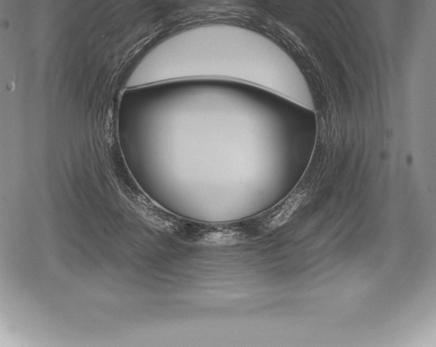 X0000080800364200612151038