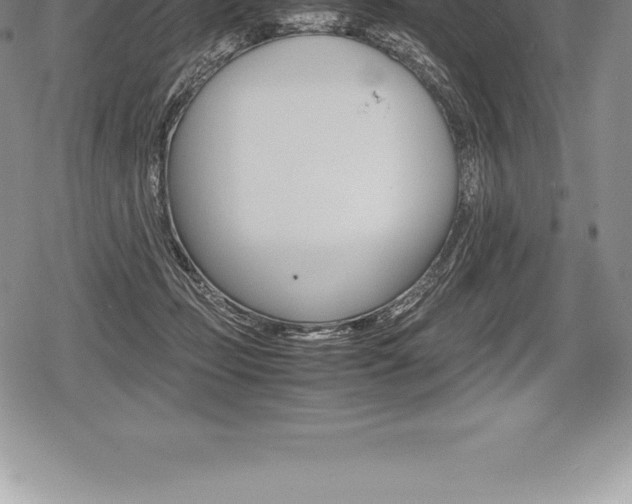 X0000080800365200612151038