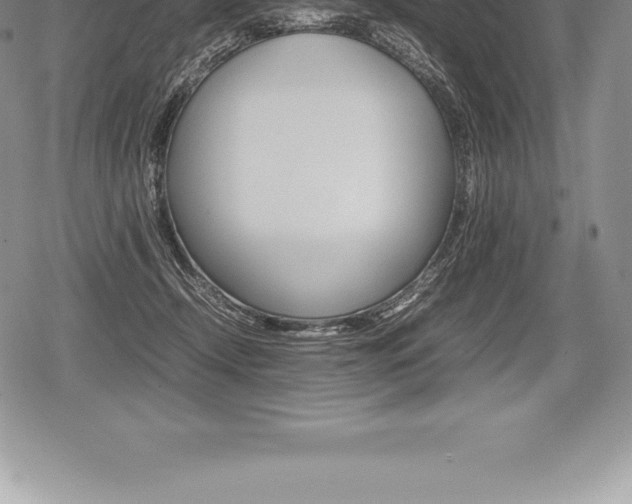 X0000080800366200612151038