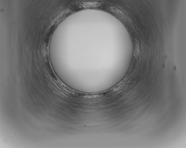X0000080800367200612151038