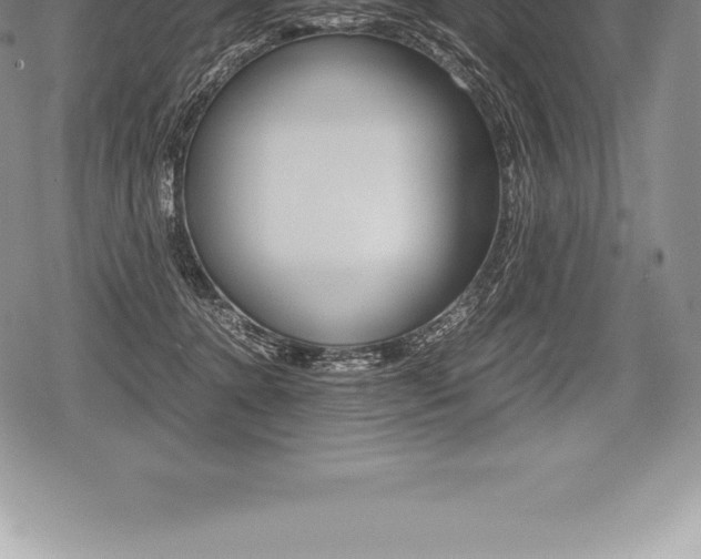 X0000080800368200612151038